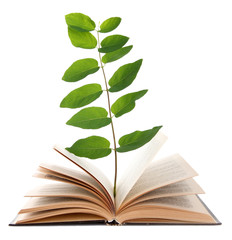 Book with plant isolated on white