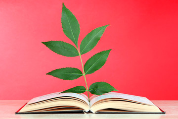 Book with plant on table on red background