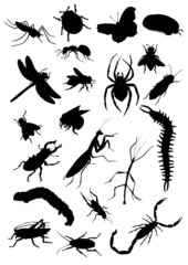 Set of insect silhouettes