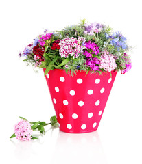 Beautiful bouquet in pail isolated on white