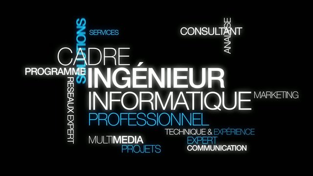 Ing&eacute;nieur informatique management word tag cloud video