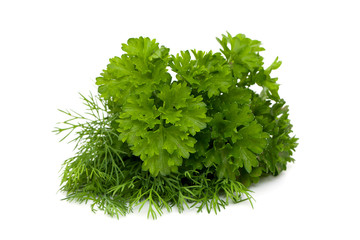 bunch of dill and parsley