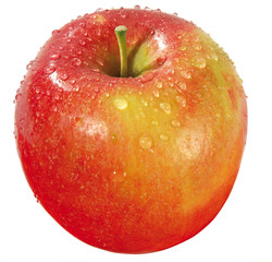 Apfel