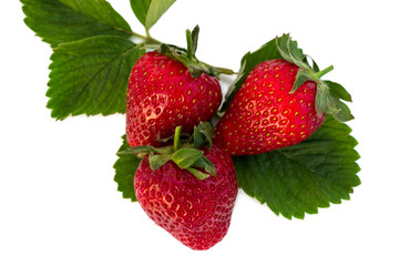 Fresh raw strawberries