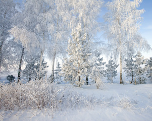 Walk through the beautiful winter scene in Russia