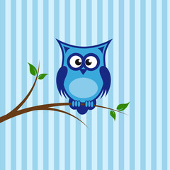 Fototapeta premium blaue eule