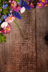 flower background