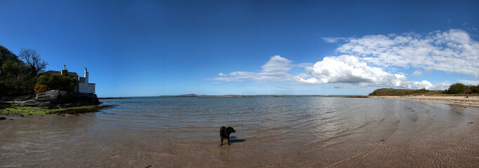 Penrhos park