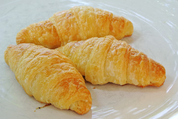 Fresh and tasty croissant on white Plate