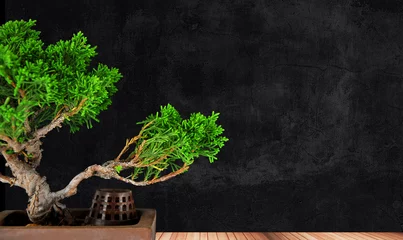 Foto op Plexiglas Bonsai bonsai tuin