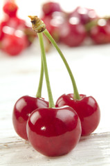 three fresh picked cherries