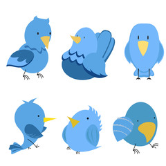 Vector funny birds