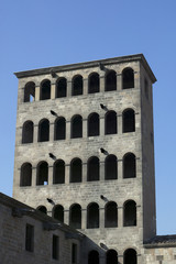 Fototapeta premium Torre del Rei Martí