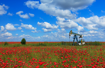 Oil and gas well in rural countryside with poppy field