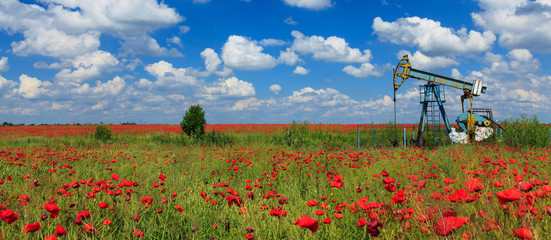 Oil and gas well in rural countryside with poppy field
