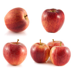 Red apple collection isolated on white background