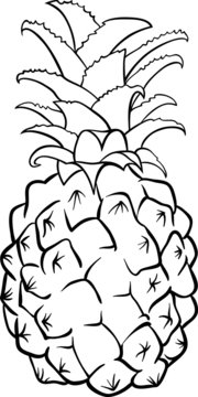 Pineapple Fruit For Coloring Book