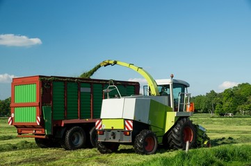 Grassilage, Gras häckseln