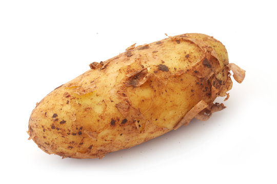 Raw Potato