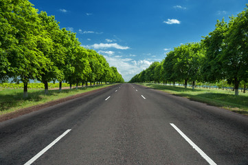 summer road landscape