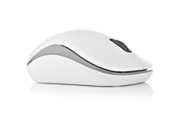 Computer mouse on a white background