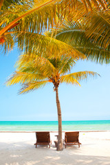two chairs under palm trees on perfect tropical beach