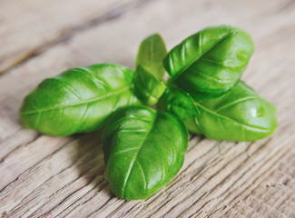 Fresh basil leaves