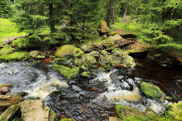 Creek from the green Wilderness in the spring Mountains, Czech