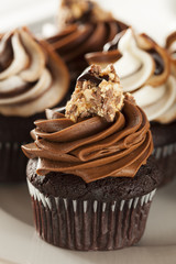 Homemade Chocolate Cupcake with chocolate frosting