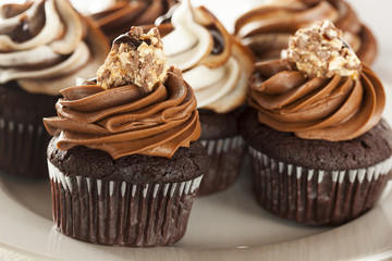 Homemade Chocolate Cupcake with chocolate frosting