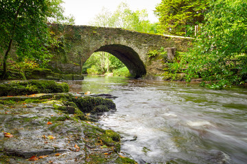 Beautiful creek of Clare Glens, Co. Limerick, Ireland