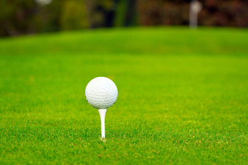Golf ball on tee in a beautiful golf club