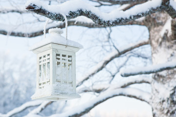 Lantern hanging in tree at winter