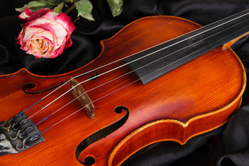 Fototapeta premium Classical violin on fabric background