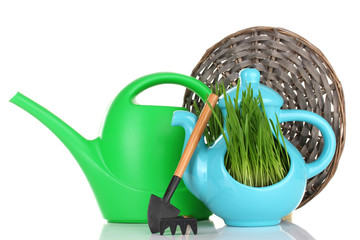 Obraz premium Green grass in decorative pot isolated on white