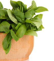 Fresh herb in bowl isolated on white