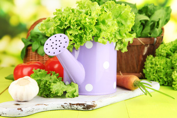 Fresh herb in watering can on wooden table on natural