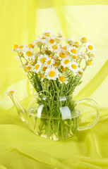 Many chamomile in glass teapot on green cloth background