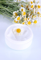 Fototapeta na wymiar Cream with chamomile isolated on white