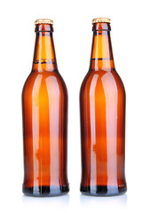 Beer bottles isolated on white