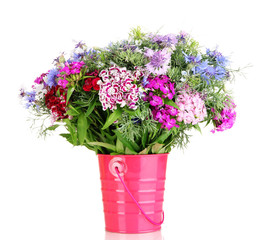 Beautiful bouquet in pail isolated on white