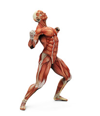 muscle man strong pose