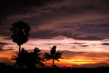 Obraz premium Sunset of twilight