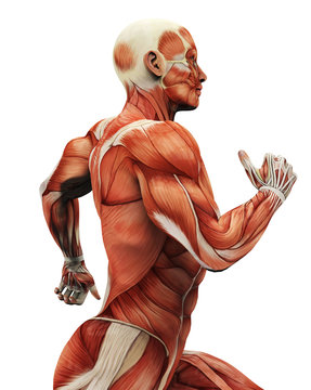 muscle man running picture
