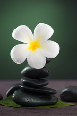 Obraz na płótnie Canvas Stacked hot stones for massage spa and frangipani with green bac