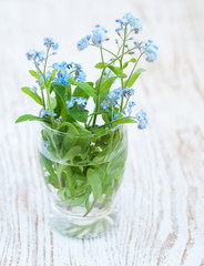 Bunch of forget-me-nots flowers