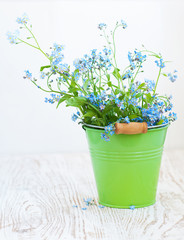 Bunch of forget-me-nots flowers