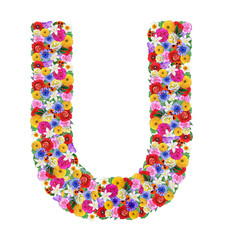 U,  letter of the alphabet in different flowers