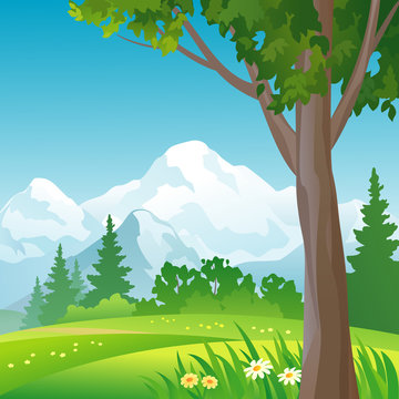 Mountain forest square background