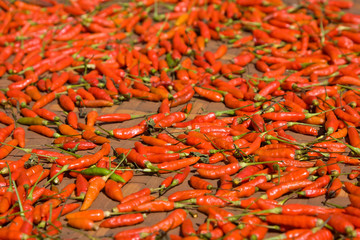 Background of closeup red hot peppers